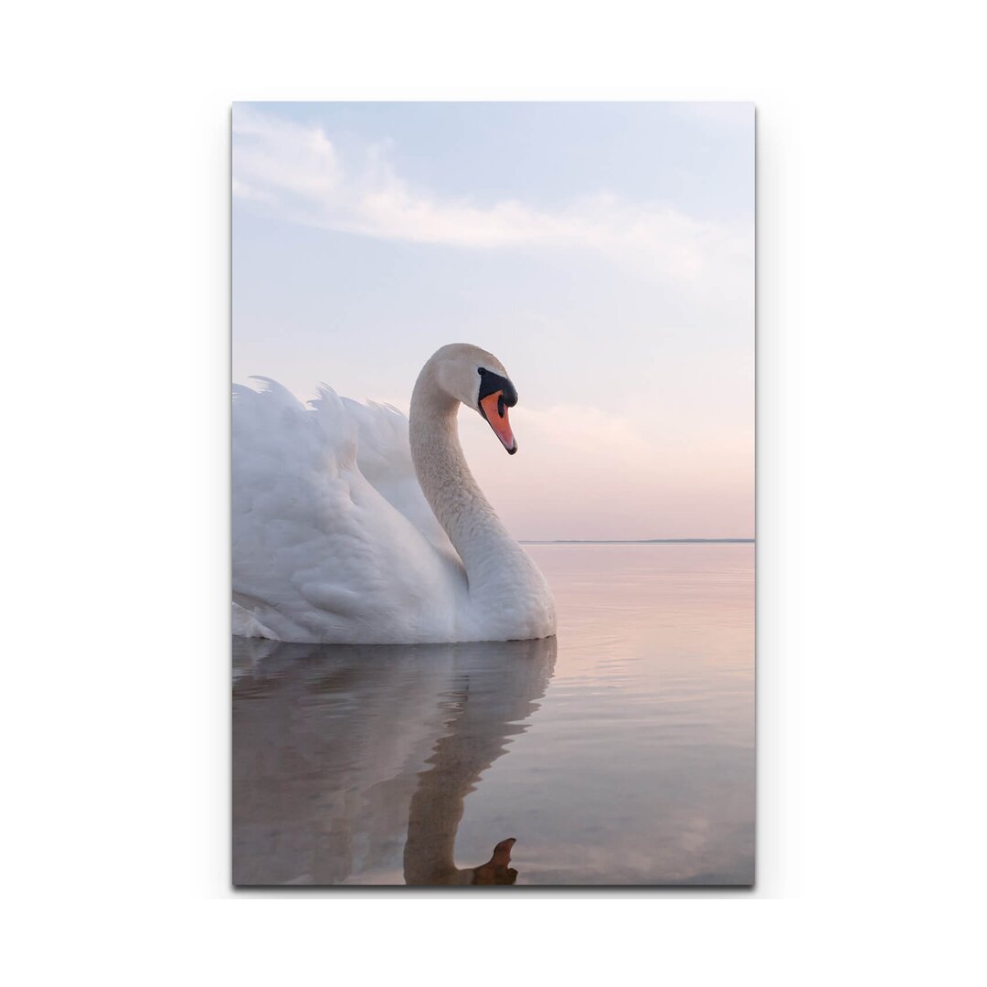 Leinwandbild Schwan auf einem See an einem sonnigen Tag