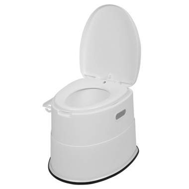 Kohler Toilette allongée intelligente une pièce à double chasse Numi 2.0 et  Commentaires - Wayfair Canada