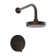 Pavani Balanced Pressure Shower Trim Set with Shower Head
