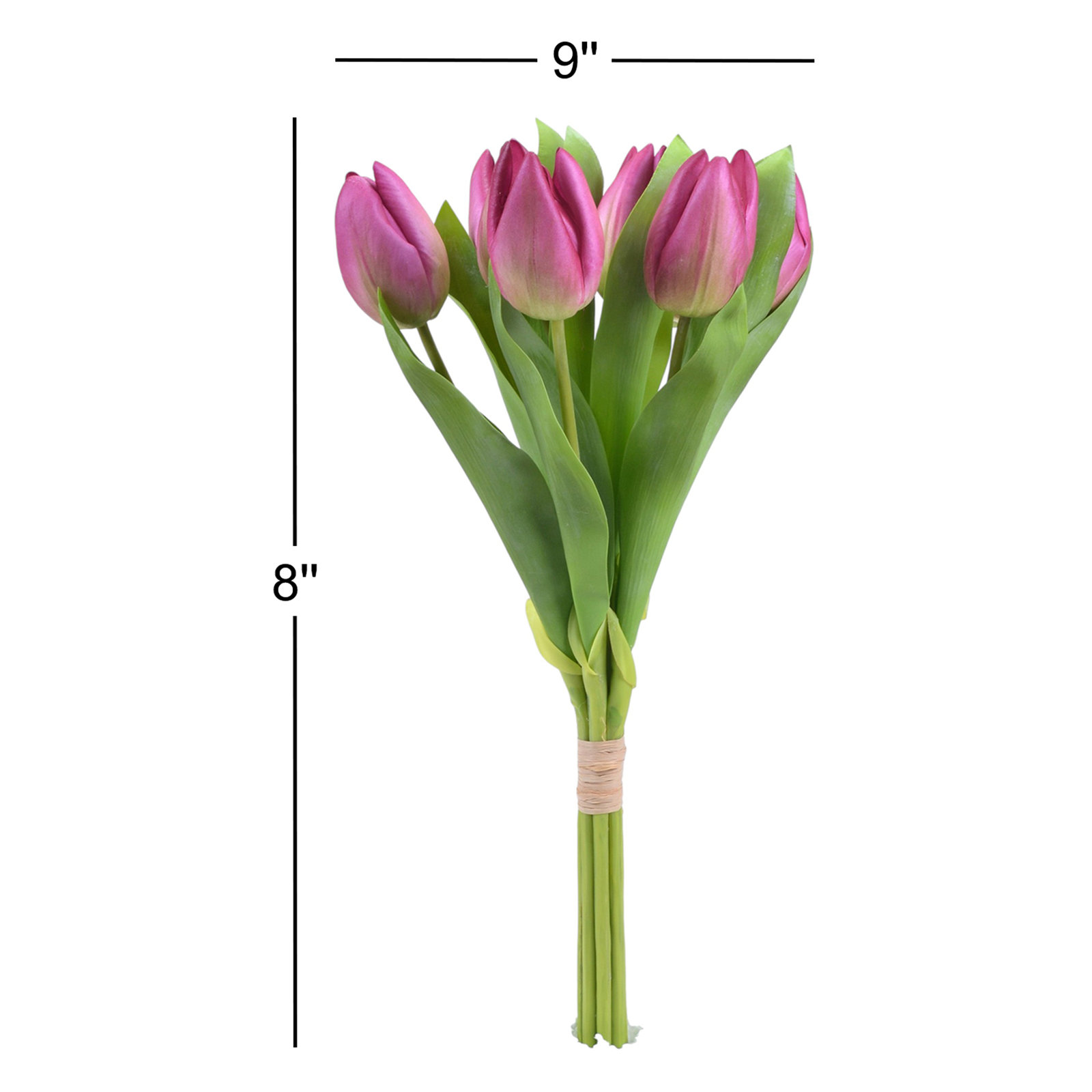 Tulip Stems, Purple