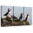 Brampt Puffins On A Rock-108152391