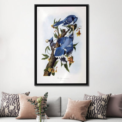 «Blue Jay» par John James Audubon, reproduction d'art sur toile