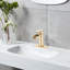 Robinet de salle de bain - Poignée simple en cascade dorée avec plaque de pont et trop-plein-122075509