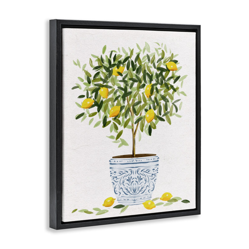 Pot à fleurs Lemon Tree, H 31 po x l 25 po, Cadre flottant noir de jais