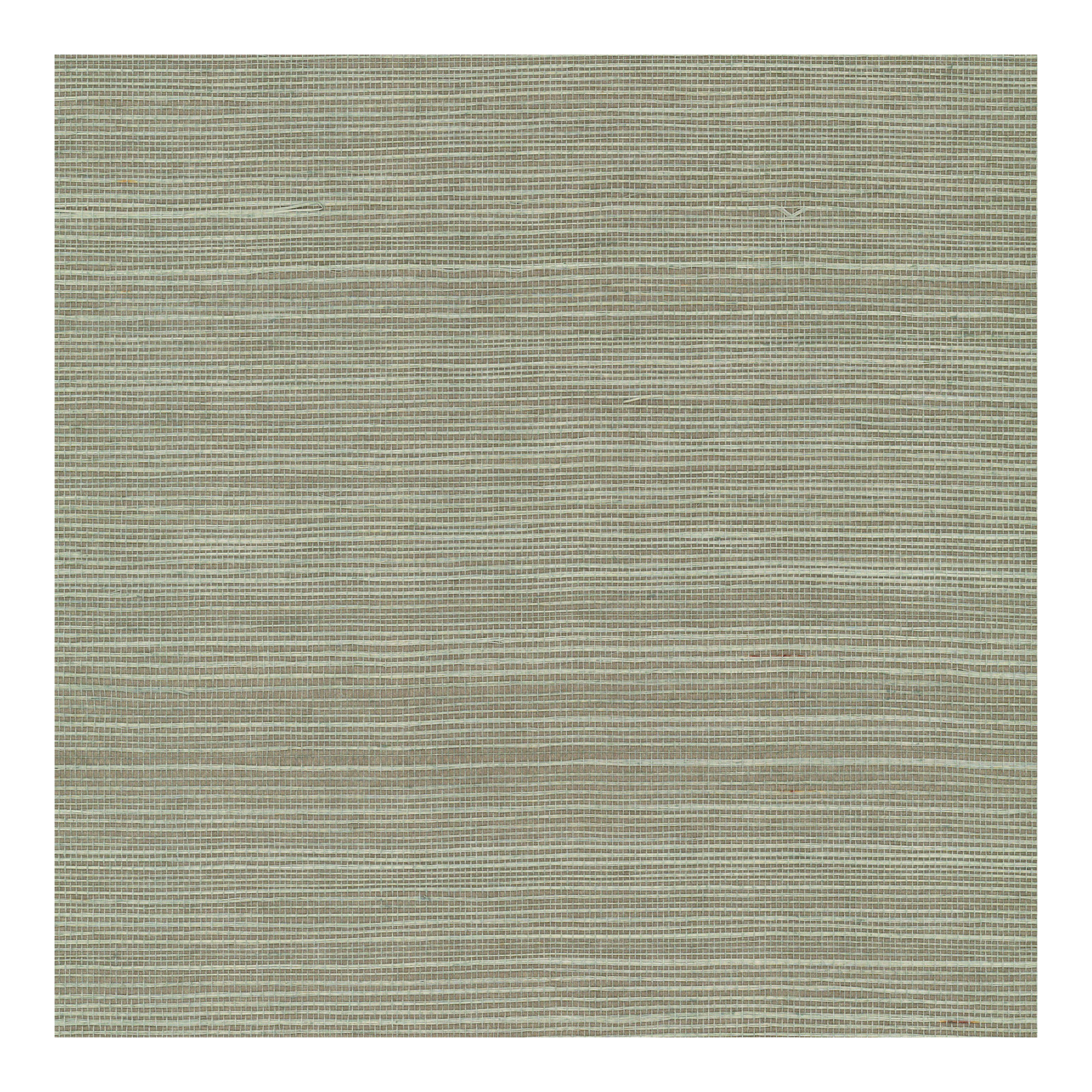 Natural Sisal Peel and Stick Grasscloth Wallpaper, Green