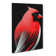 CAN-V0523-351X Cardinal Bird Abstract - Wrapped Canvas Print