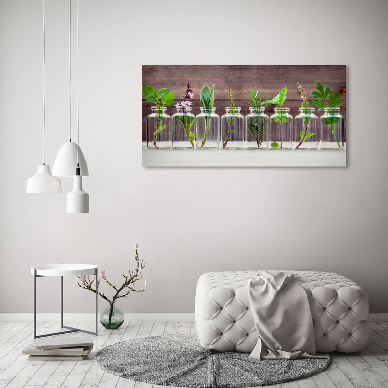 Plants In Jars - Wrapped Canvas Print