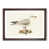Walnut Framed