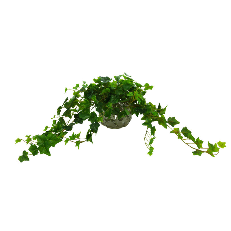 Fausse plante lierre 12 po dans un vase en verre