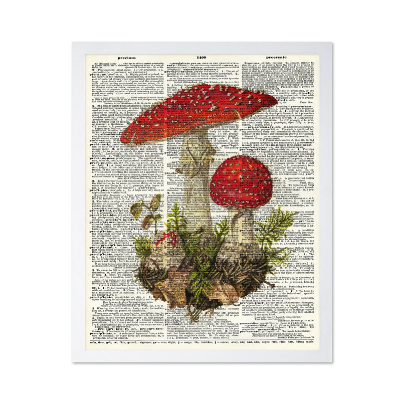 Mouche, gélose et champignon, Affiche, Encadrement blanc, H 16 po x l 20 po