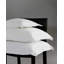 Analisa Percale Flat Sheet-31315989