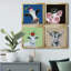 «Playful Nature», ensemble de 4 cadres photo sur toile-1490637123-1490637122