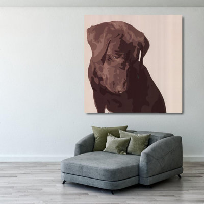 Chocolate Labrador
