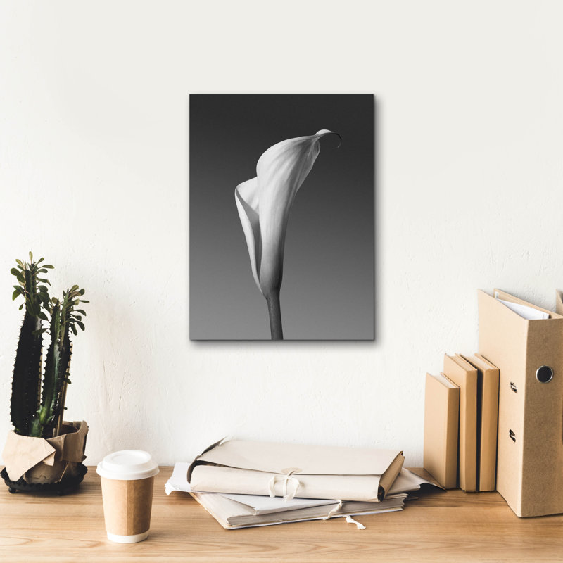 «Calla No. 4» par Photoinc Studio, art mural sur toile, 18 po x 26 po, H 16 po x l 12 po x P 0,75 po