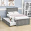 Deshannon Twin Size Wood Bed with Trundle-437580327