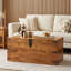 Balic Solid Wood Solid Coffee Table with Storage
