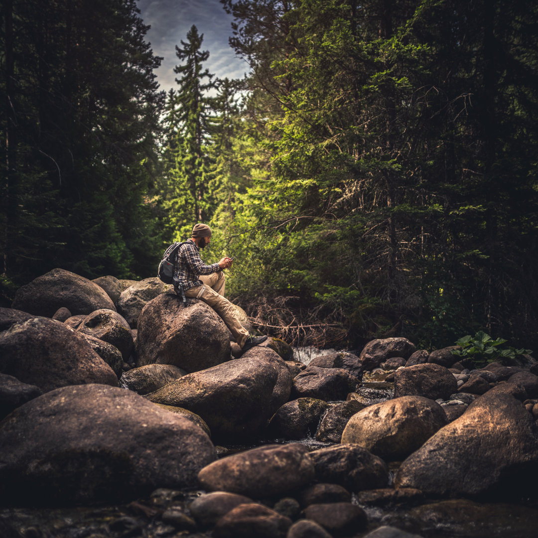 Reisende, die ein Smartphone im Wald benutzen by Da-kuk - Leinwandbild