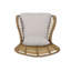 Ensemble de 2 chaises de patio en osier avec coussins Tapscott