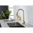 Red Cloud Pull Down Kitchen Faucet-86879991