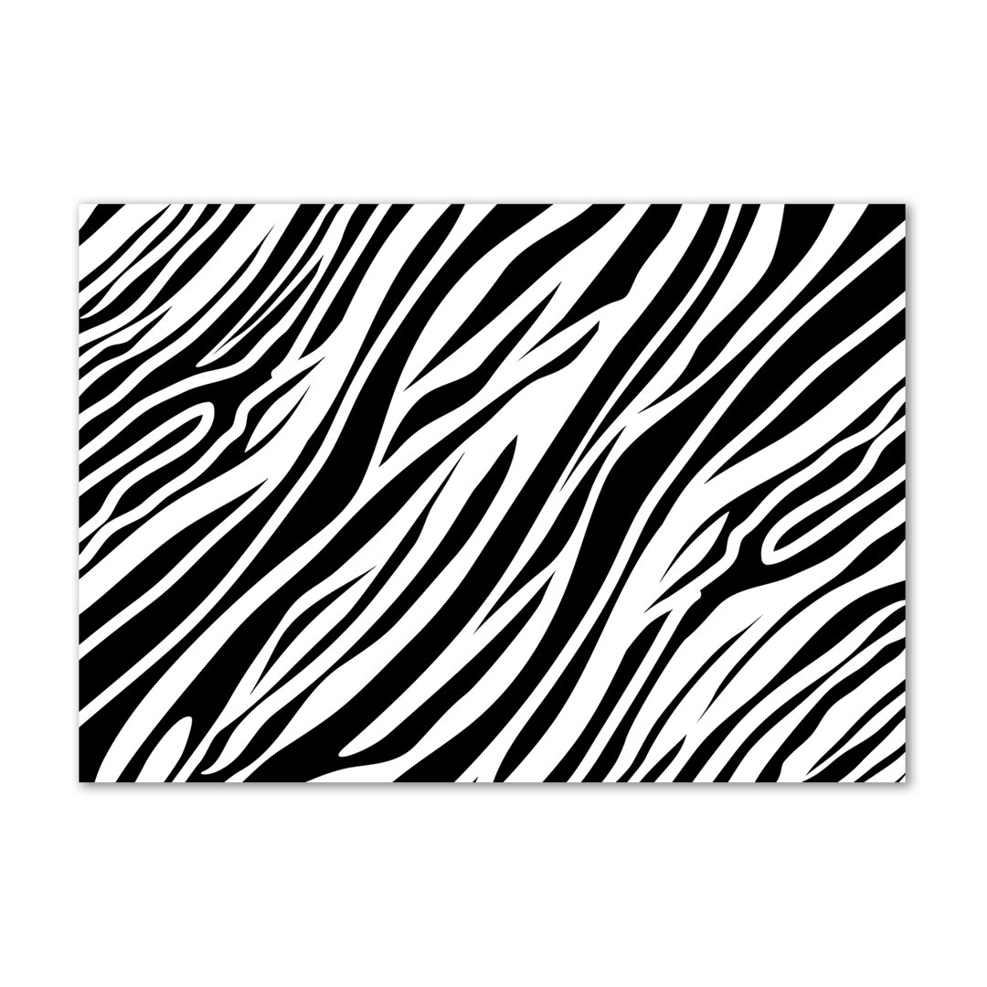 Leinwanddruck - Wandkunst - Drucke auf Leinwand - 100X70 Bildmotiv: Zebra Hintergrund