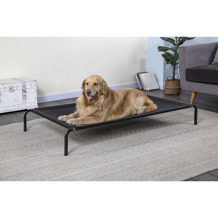 Go Pet Club Elevated Cooling Cot & Reviews | Wayfair
