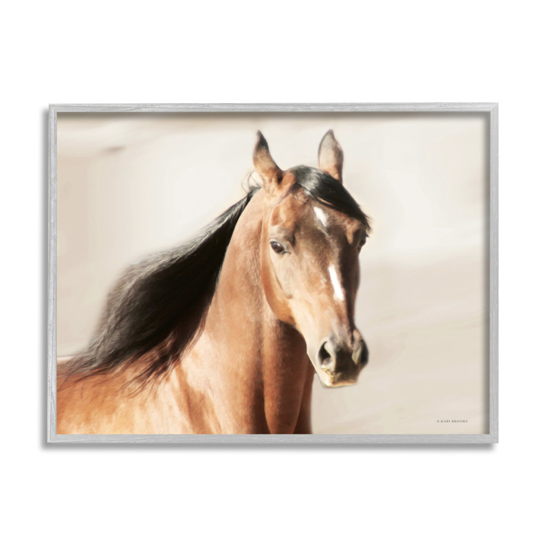 «Stupell Industries Brown Stallion Portrait», art de la giclée par Kari Brooks, H 11 po x l 14 po x P 1,5 po