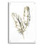 «Gilded Barn Owl Feather» par Chris Paschke-2086920621
