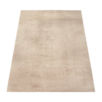 Ananio Solid Colour Shag Area Rug