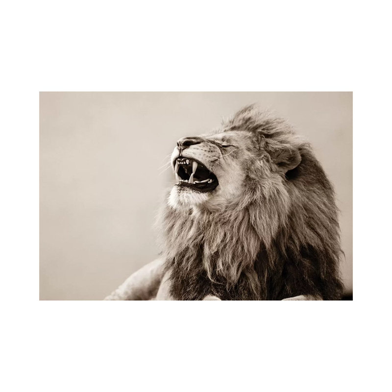 Lion by Goran Anastasovski - Wrapped Canvas Print, 66.04 cm H x 45.72 cm W x 1.91 cm D