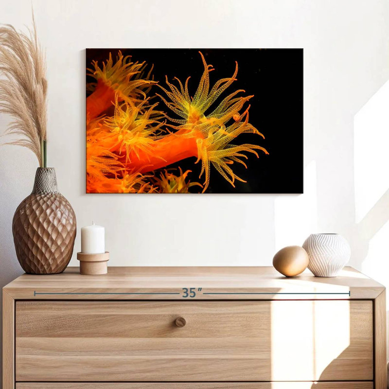 Brampt Sun Polyps, 16" H x 24" W