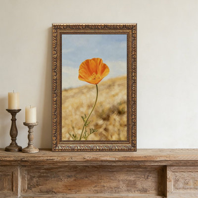 Cadre orange rétro Orange Poppy FieldOrnate