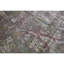 Wool Oriental Area Rug