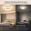 Flush Mount