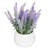 Benita 7'' Faux Flowering Plant in Ceramic Pot