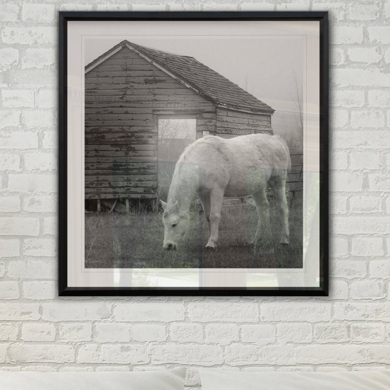 Misty Pasture - reproduction de cadre photo, H 26,5 po x l 26,5 po x P 1,5 po