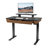 Stonington Height Adjust Electric Standing Desk-72243193-72243191