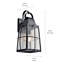 Lanterne murale d'extérieur 1 lumière noire texturée 20,25 po Tolerand-27770197