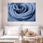 Rose bleue Harnek en gros plan-108705697