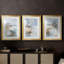 NAUTICAL Series dxlvii-2065909417-2065909429