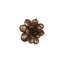 Laui Succulent Wall Art, Imperial Bronze