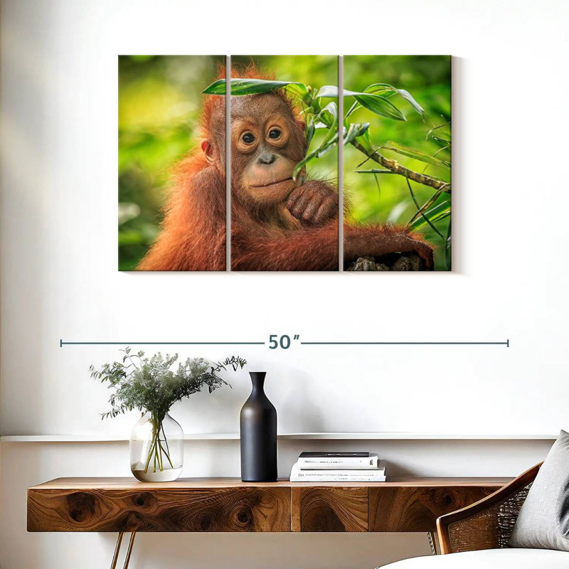 Brampt Leaf Munching Orangutan, 24" H x 38" W