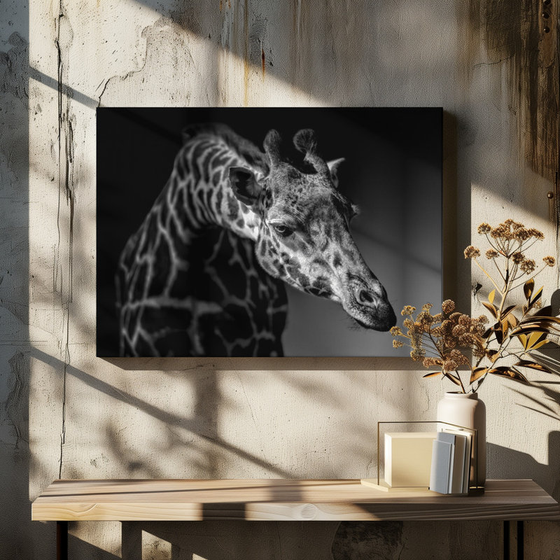 Wrapped Canvas Print, 60.96 cm H x 91.44 cm W