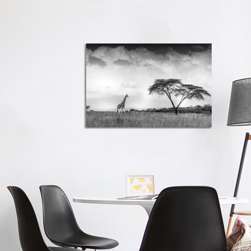 And I Dreamed Of Africa by Jeffrey C. Sink - Wrapped Canvas Print, 66.04cm H x 101.6cm W x 1.91cm D