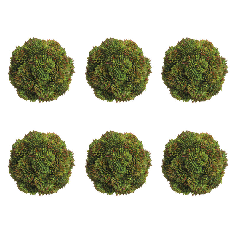 Boules de Sedum décoratives, Vert