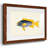 " Tropical Fish Collection V "-1469709642-1469709635