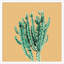 Sherbet Cactus 1 Framed Graphic Art