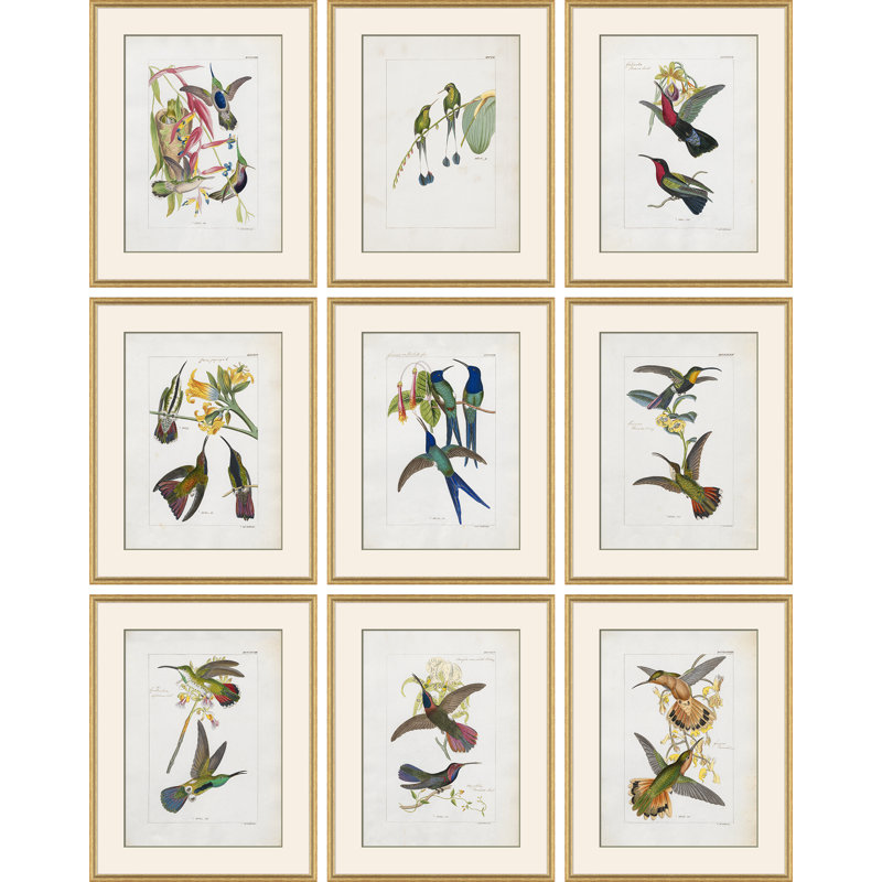 Hummingbirds Giclee Print by John Gould