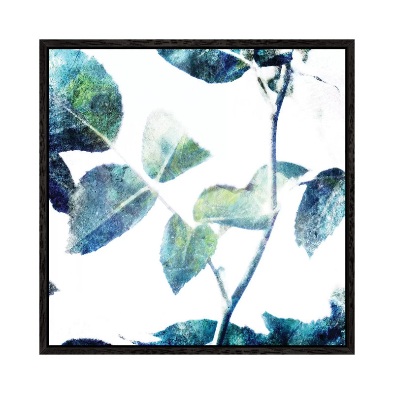 Universal Leaves II by Mlli Villa - Print on Canvas, 45.72cm H x 45.72cm W x 3.81cm D, Black Framed
