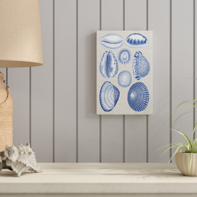 Navy & Linen Shells I by Vision Studio - Painting, 30cm H x 20cm W, Wrapped Canvas