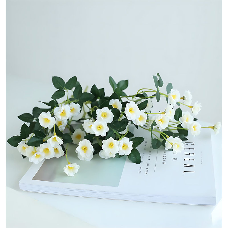 Composition d'assortiment mixte, Blanc
